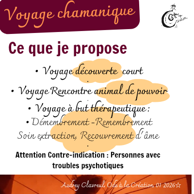 Les voyages chamaniques a but th&eacute;rapeutique